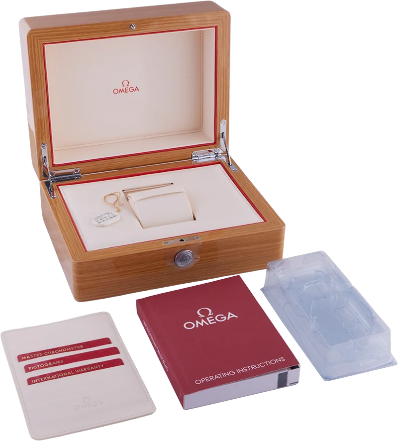 Omega Seamaster 300 Co-Axial Master Chronometer BNIB 2022 234.30.41.21.01.001